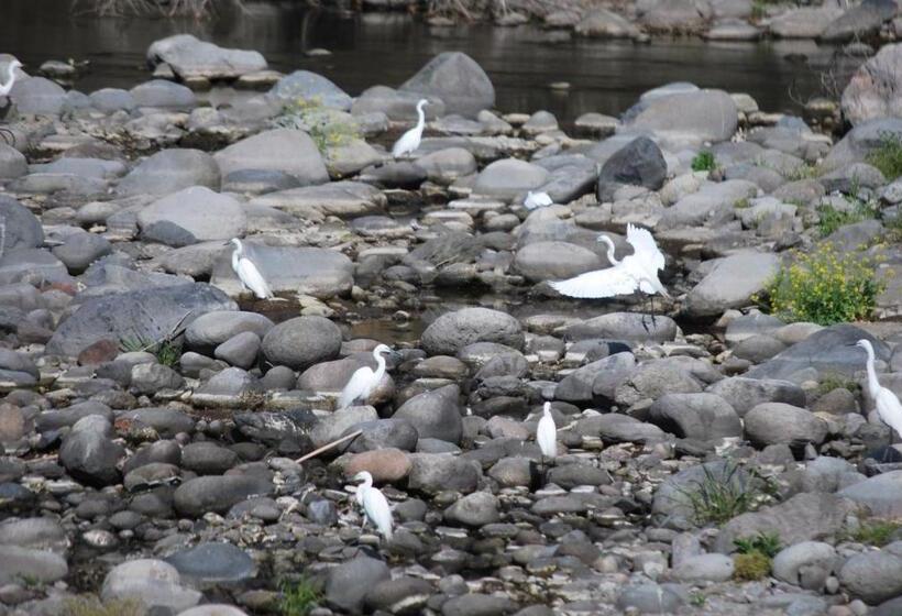 호텔 Sdgs House With Shower Room Vacation Stay 34864v