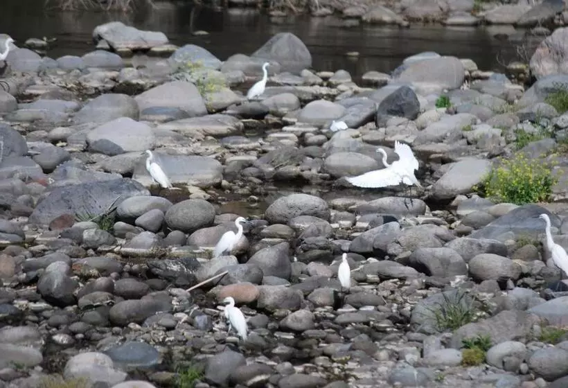 Hotelli Sdgs House With Shower Room   Vacation Stay 34864v