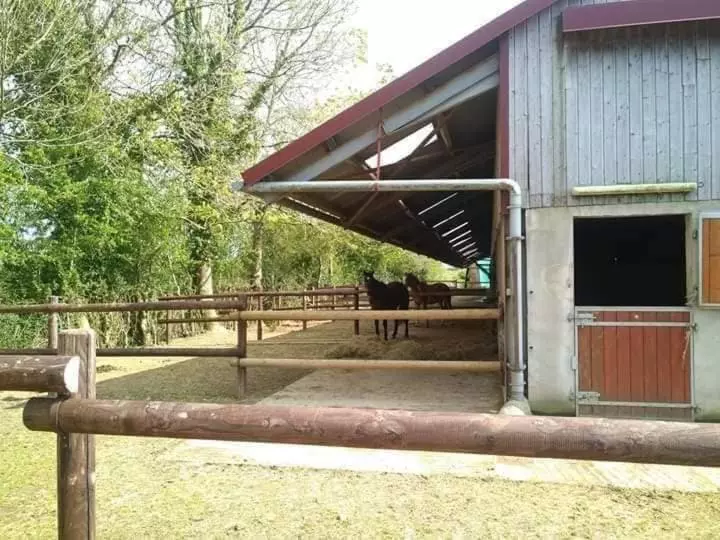 ベッドアンドブレックファースト Chambres D Hôtes Du Ranch