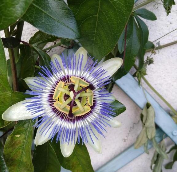 Bed and Breakfast Chambres D Hôtes Du Ranch