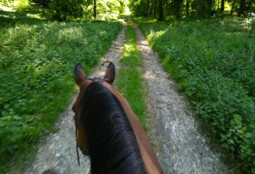 Bed and Breakfast Chambres D Hôtes Du Ranch