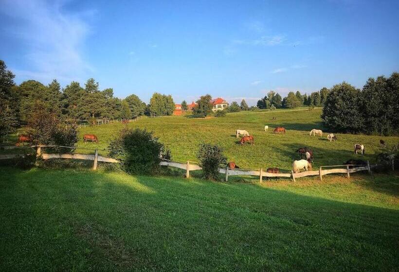 住宿加早餐 Rácz Tanya és Panzió
