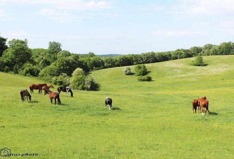住宿加早餐 Rácz Tanya és Panzió