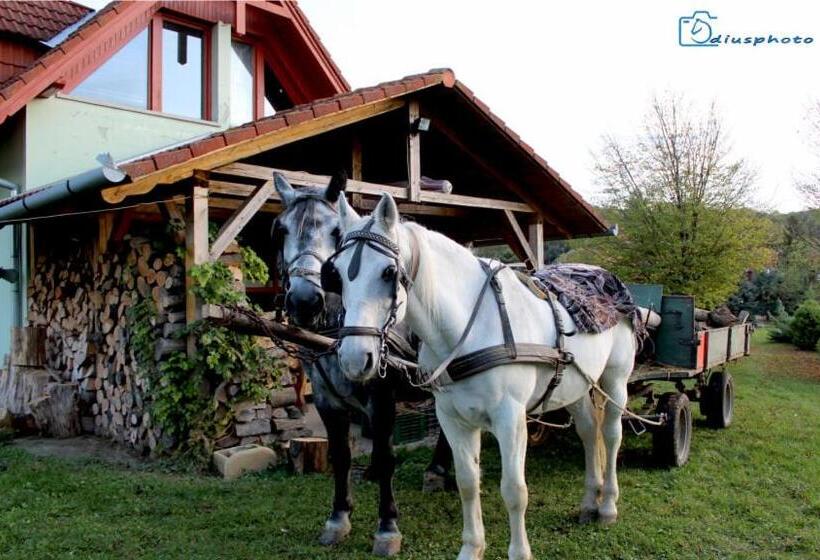 住宿加早餐 Rácz Tanya és Panzió