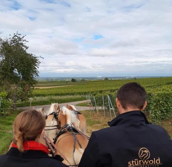 Отель Ferienwohnung Castellberg