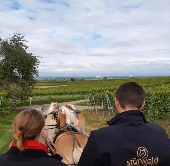 Hotelli Ferienwohnung Castellberg