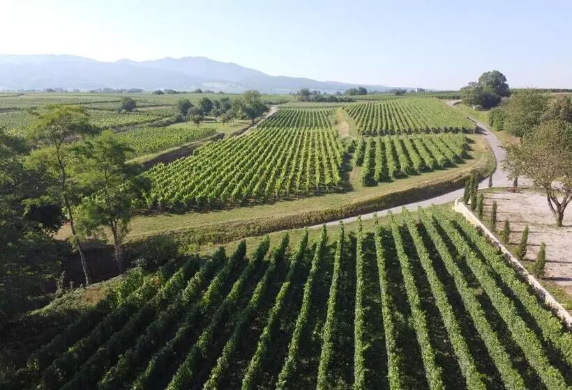 Hotelli Ferienwohnung Castellberg