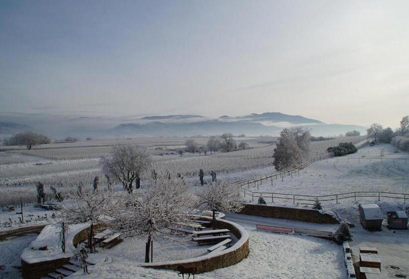 Отель Ferienwohnung Castellberg