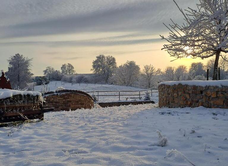 Отель Ferienwohnung Castellberg