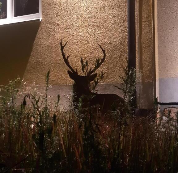 Отель Ferienwohnung Castellberg