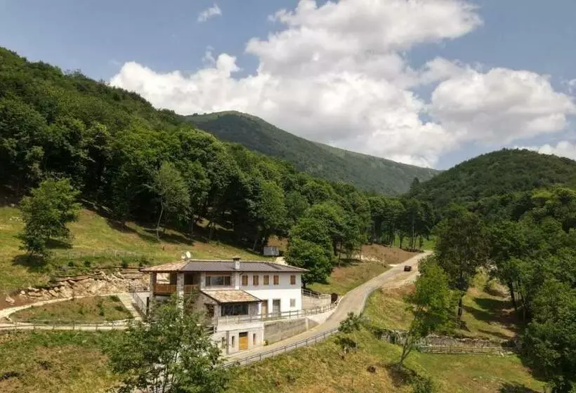 Majatalo Staulir Affittacamere