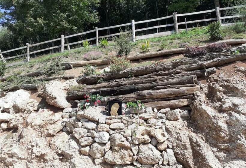 ペンション Staulir Affittacamere