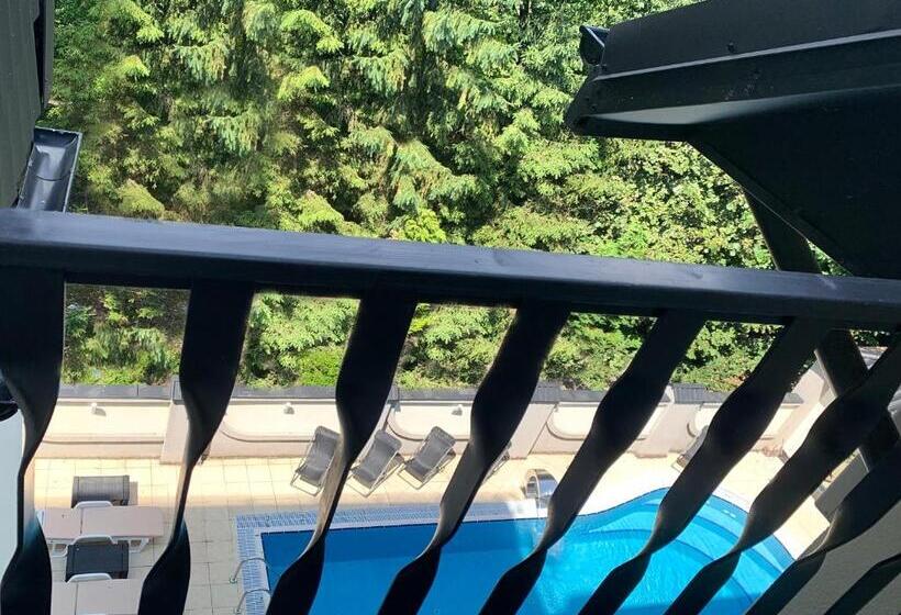 Penthouse Apartment In Hotel Eney