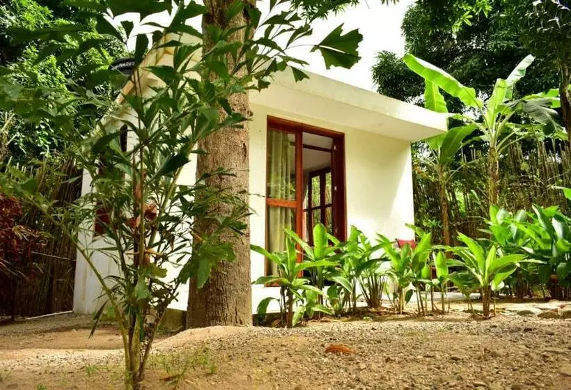 ユースホステル Casa Silvestre