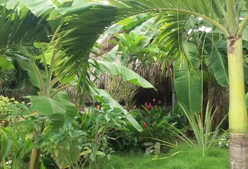ユースホステル Casa Silvestre