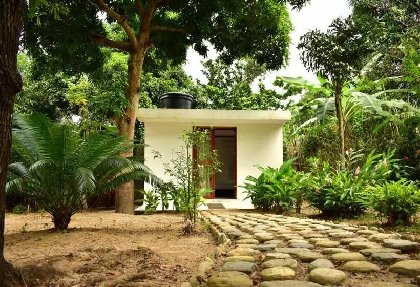 ユースホステル Casa Silvestre