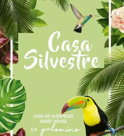 ユースホステル Casa Silvestre