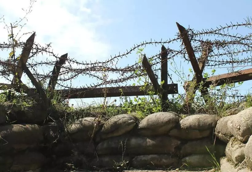 Aamiaismajoitus (B&B) Arara