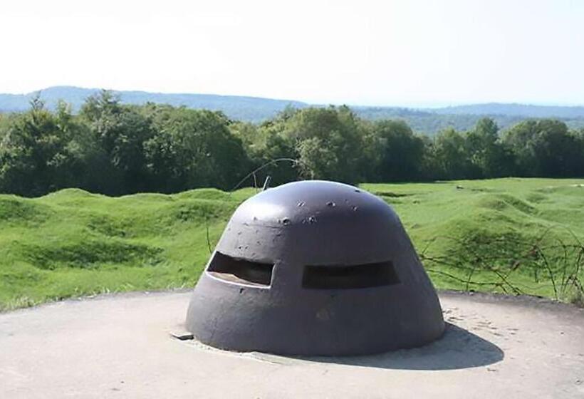 Bed and Breakfast Arara