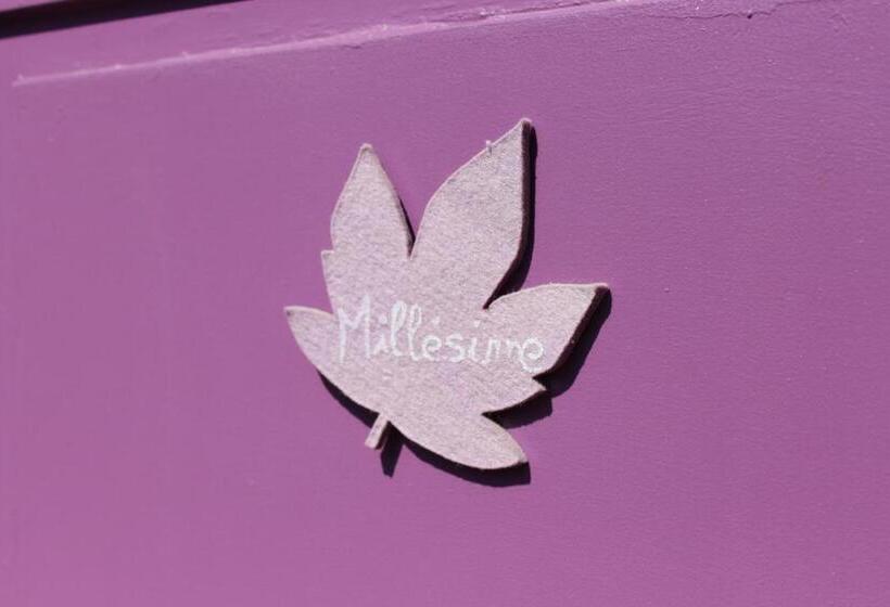 住宿加早餐 Le Mas De Roux Chambres D Hotes