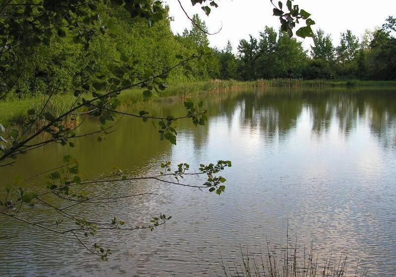 住宿加早餐  Le Puy Babin Chambres Familiales à La Ferme