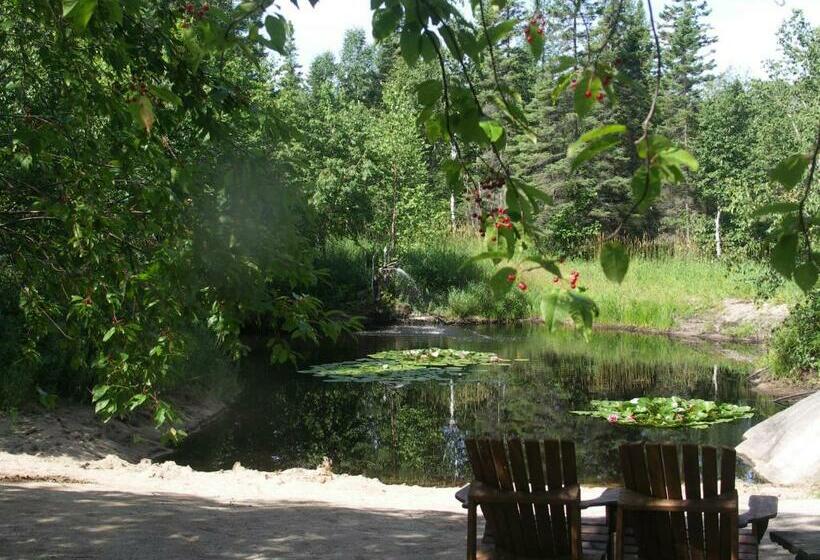 مبيت وإفطار Vieille école Du Rang 3