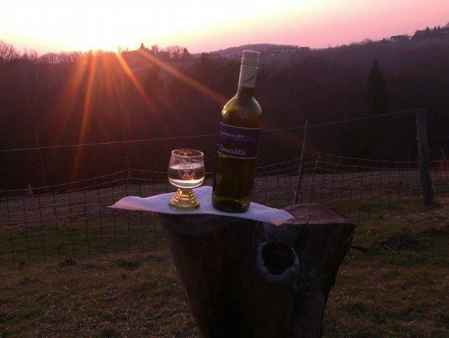 Отель Biohof Koller