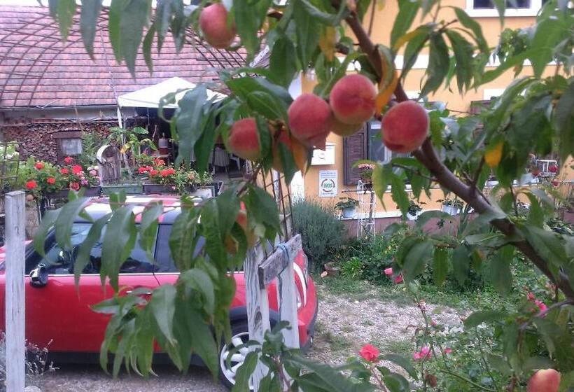 Отель Biohof Koller