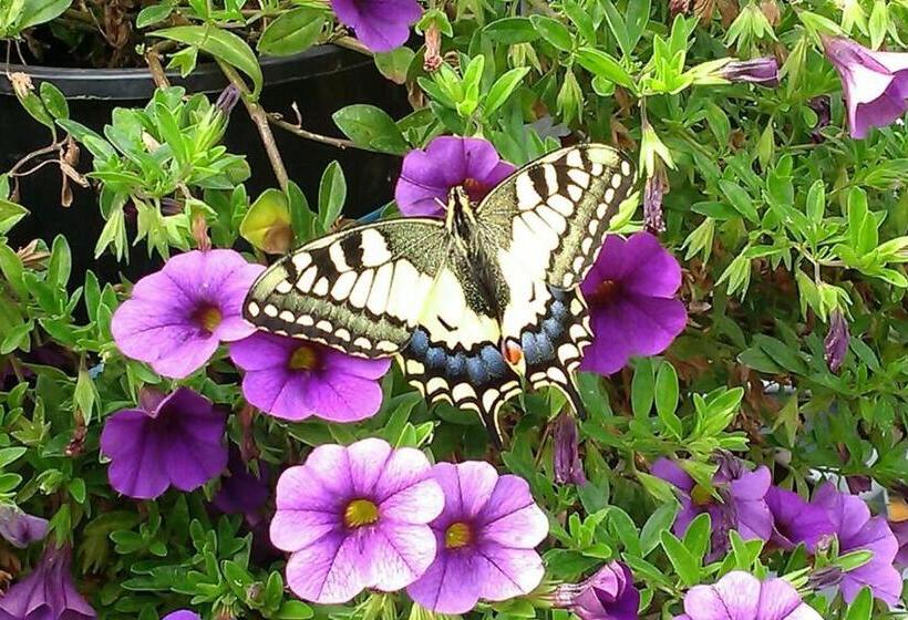 Отель Biohof Koller