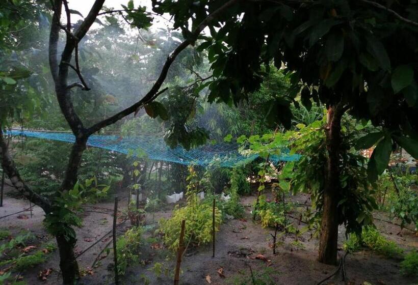 Hotel Nettle Trees Farm Stay