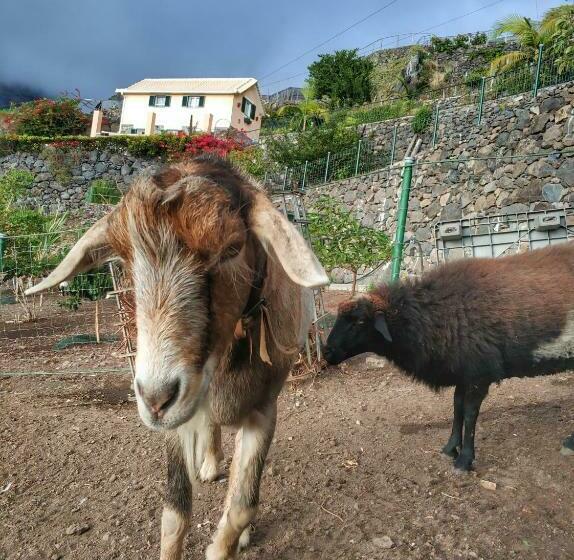 هتل Quinta Terezinha