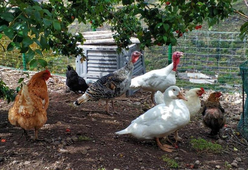 هتل Quinta Terezinha