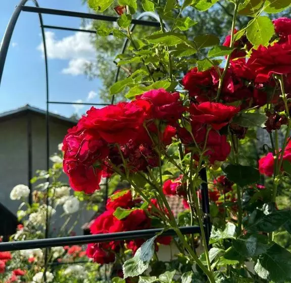 ペンション вила чевермето