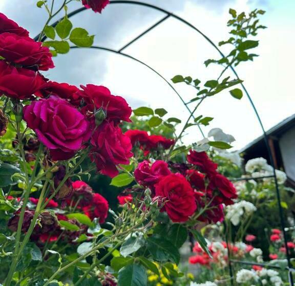 Pensión вила чевермето