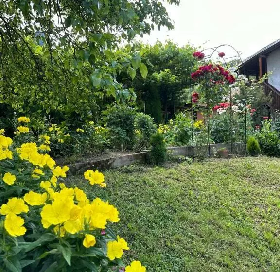 ペンション вила чевермето