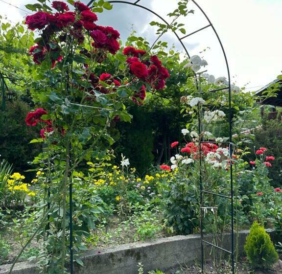 Pensión вила чевермето