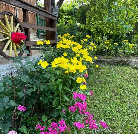 Pensión вила чевермето