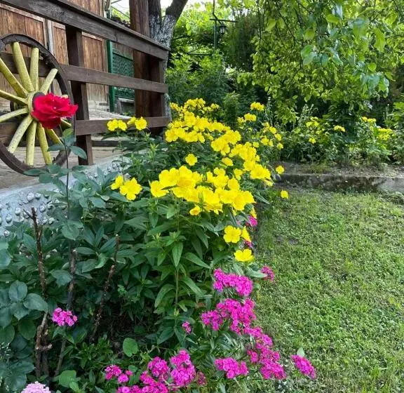 ペンション вила чевермето