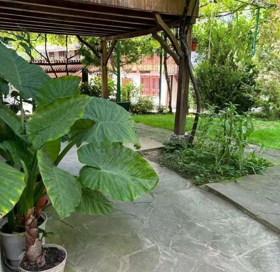 ペンション вила чевермето