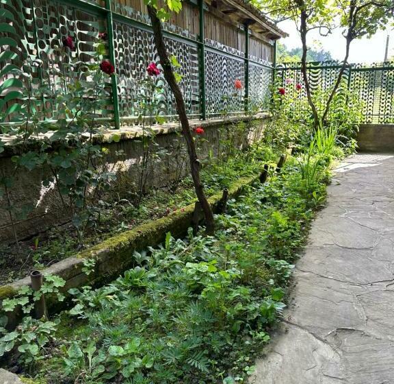 Pensión вила чевермето