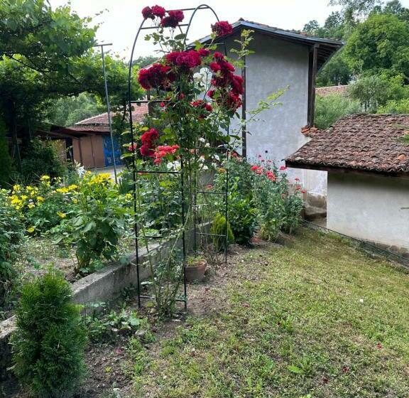 Pensión вила чевермето