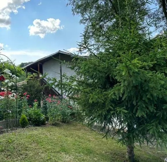 ペンション вила чевермето