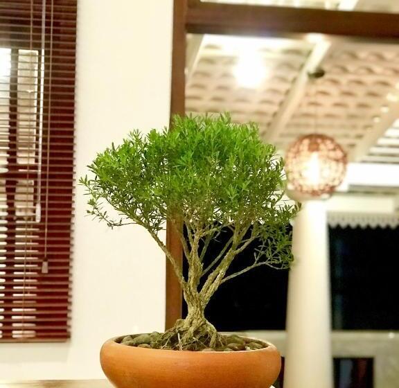 פנסיון Ck House Unawatuna