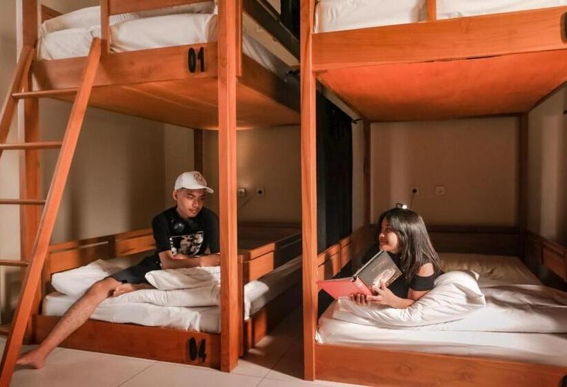 פנסיון Escape Bajo