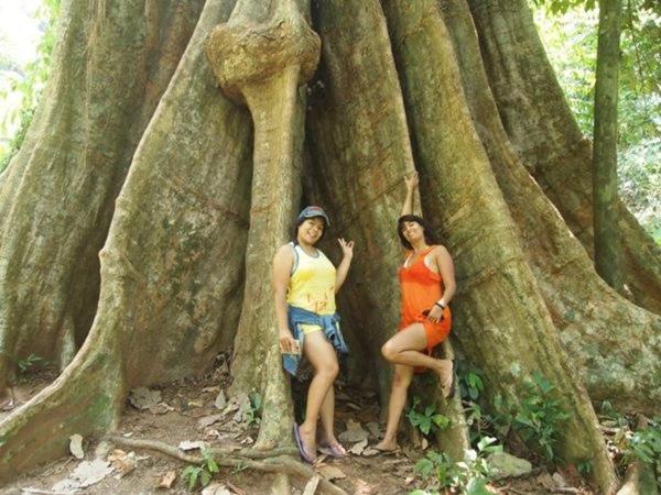 Pensão Fisherman Guesthouse