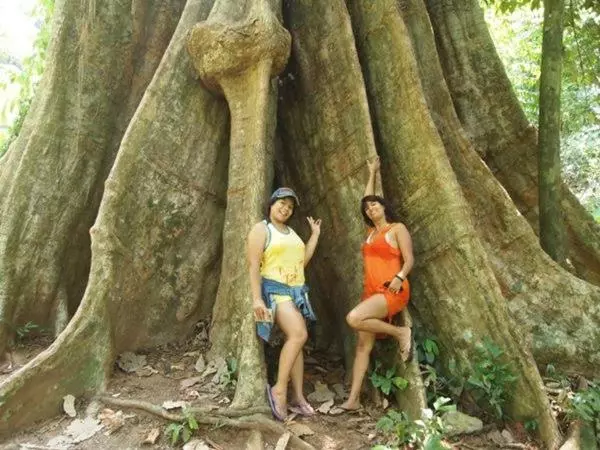 Majatalo Fisherman Guesthouse