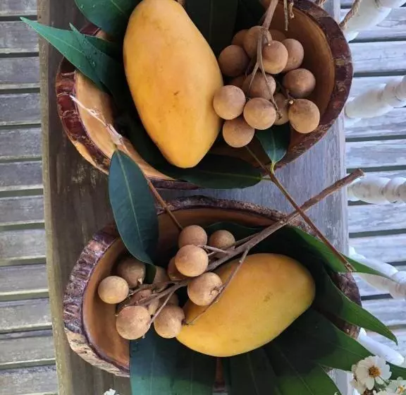 Majatalo Fisherman Guesthouse