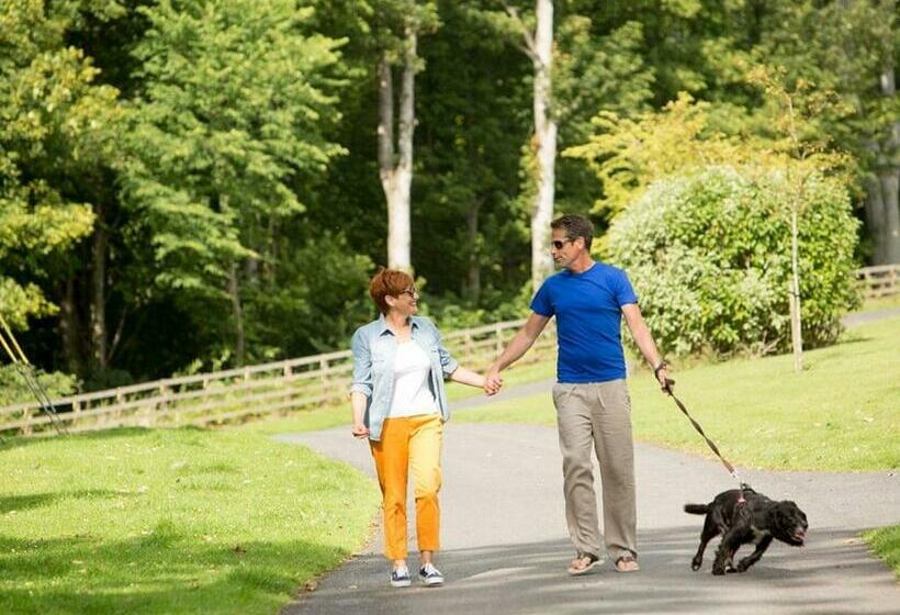 אתר נופש Coldingham Bay Leisure Park
