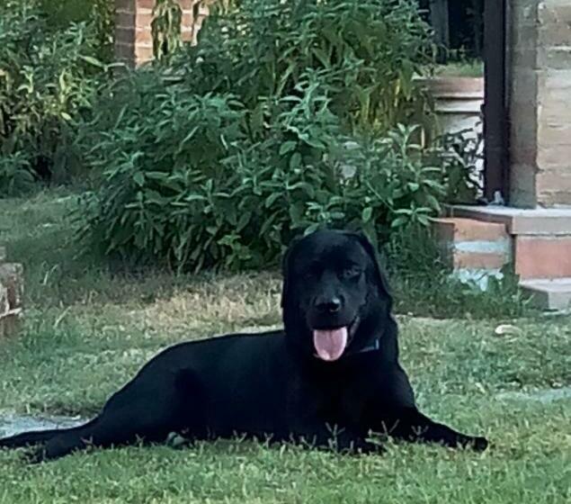 Vallacchi Bed & Breakfast