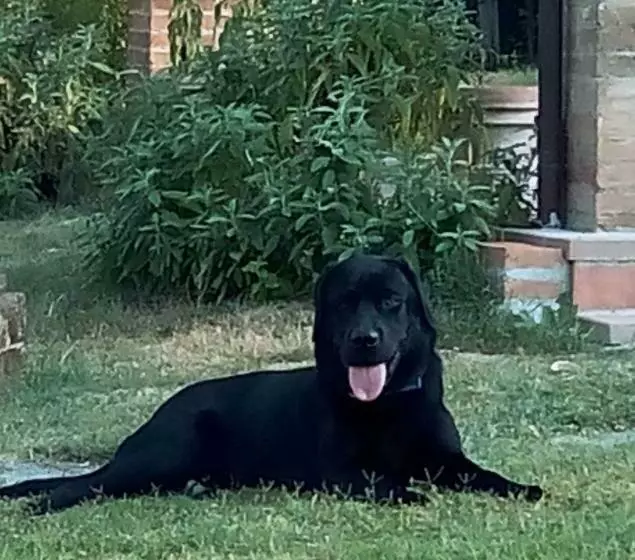 Vallacchi Bed & Breakfast